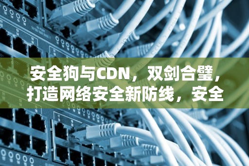 安全狗与CDN，双剑合璧，打造网络安全新防线，安全狗 CEO
