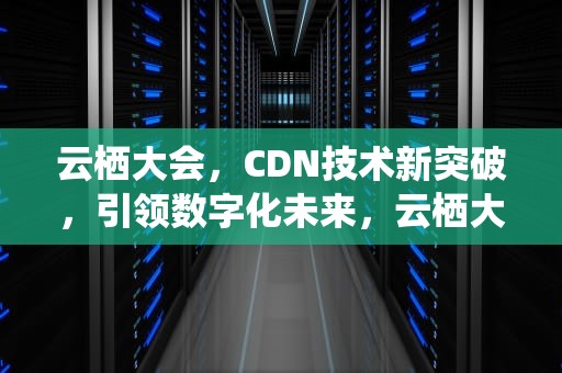 云栖大会，CDN技术新突破，引领数字化未来，云栖大会 传播案例