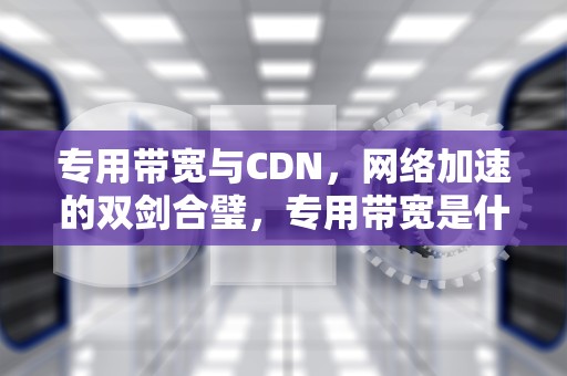 专用带宽与CDN，网络加速的双剑合璧，专用带宽是什么