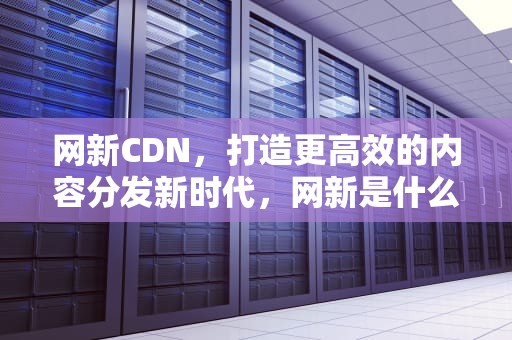 网新CDN，打造更高效的内容分发新时代，网新是什么专业