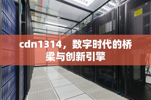 cdn1314，数字时代的桥梁与创新引擎