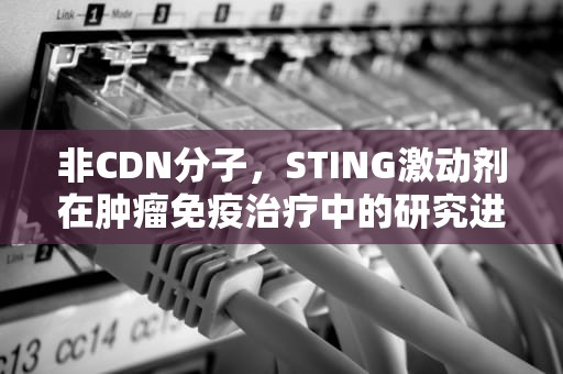 非CDN分子，STING激动剂在肿瘤免疫治疗中的研究进展