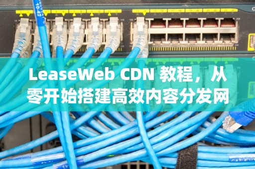 LeaseWeb CDN 教程，从零开始搭建高效内容分发网络，cdn webp