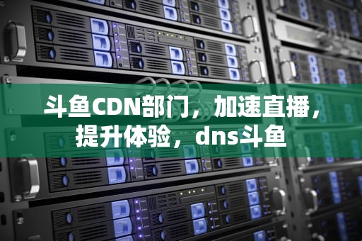 斗鱼CDN部门，加速直播，提升体验，dns斗鱼