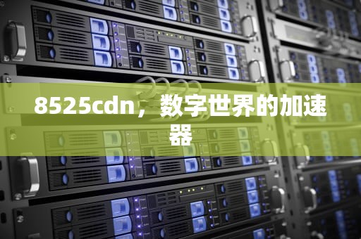 8525cdn，数字世界的加速器