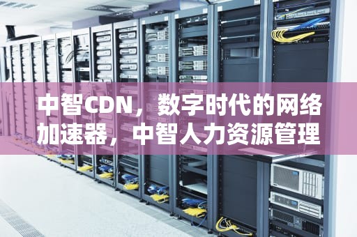 中智CDN，数字时代的网络加速器，中智人力资源管理咨询有限公司
