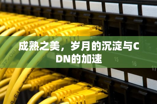 成熟之美，岁月的沉淀与CDN的加速