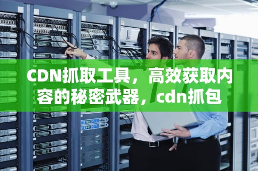 CDN抓取工具，高效获取内容的秘密武器，cdn抓包