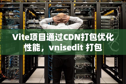 Vite项目通过CDN打包优化性能，vnisedit 打包