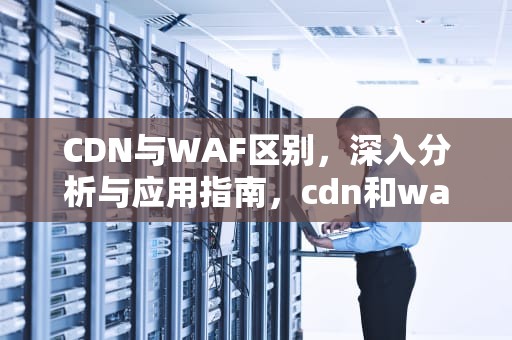 CDN与WAF区别，深入分析与应用指南，cdn和waf