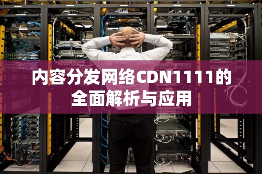 内容分发网络CDN1111的全面解析与应用