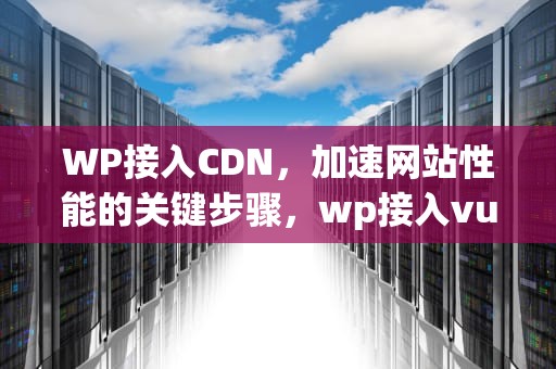 WP接入CDN，加速网站性能的关键步骤，wp接入vue