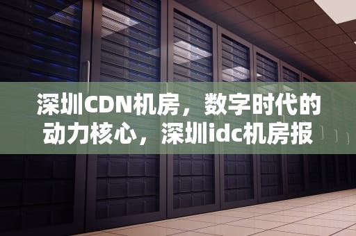 深圳CDN机房，数字时代的动力核心，深圳idc机房报价