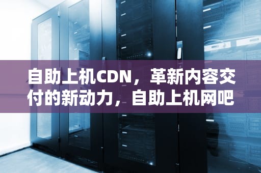 自助上机CDN，革新内容交付的新动力，自助上机网吧