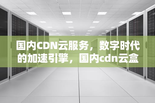 国内CDN云服务，数字时代的加速引擎，国内cdn云盒生产大厂有哪些