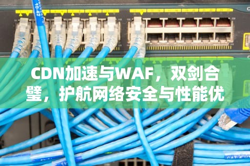 CDN加速与WAF，双剑合璧，护航网络安全与性能优化，cdn加速 wasm
