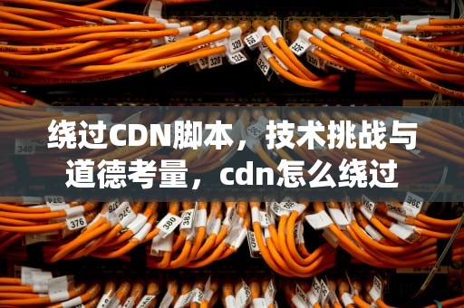 绕过CDN脚本，技术挑战与道德考量，cdn怎么绕过