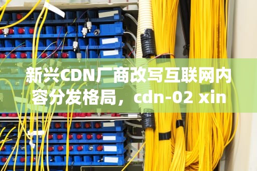 新兴CDN厂商改写互联网内容分发格局，cdn-02 xinfengshe
