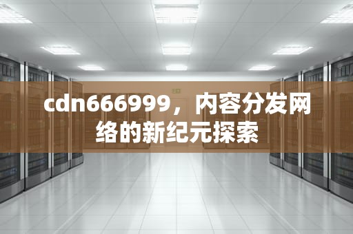 cdn666999，内容分发网络的新纪元探索