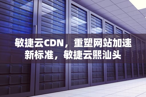 敏捷云CDN，重塑网站加速新标准，敏捷云熙汕头