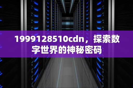 1999128510cdn，探索数字世界的神秘密码