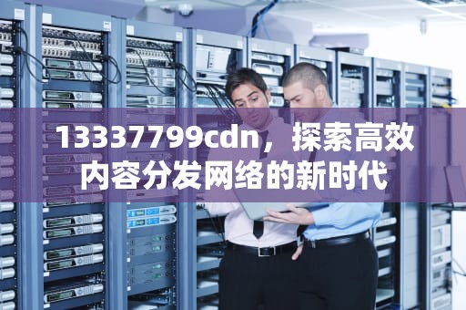 13337799cdn，探索高效内容分发网络的新时代