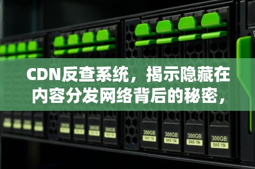 CDN反查系统，揭示隐藏在内容分发网络背后的秘密，cdn检测