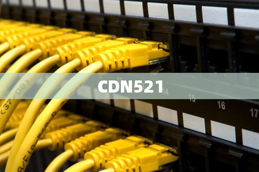 CDN521