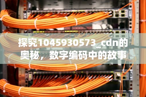 探究1045930573_cdn的奥秘，数字编码中的故事