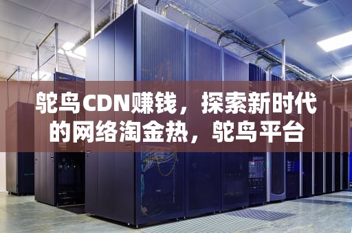 鸵鸟CDN赚钱，探索新时代的网络淘金热，鸵鸟平台