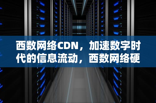 西数网络CDN，加速数字时代的信息流动，西数网络硬盘使用方法