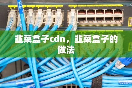 韭菜盒子cdn，韭菜盒子的做法