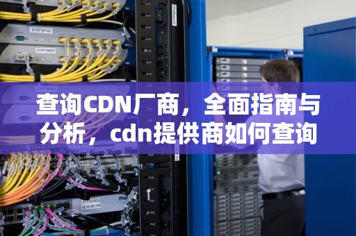 查询CDN厂商，全面指南与分析，cdn提供商如何查询