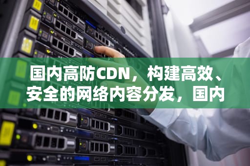 国内高防CDN，构建高效、安全的网络内容分发，国内高三出国留学