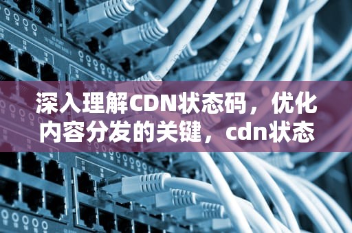 深入理解CDN状态码，优化内容分发的关键，cdn状态码