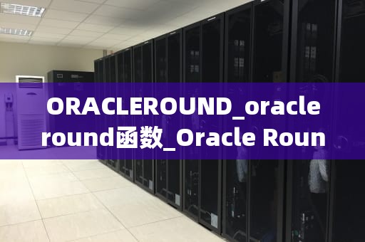 ORACLEROUND_oracleround函数_Oracle Round：数据库技术的革新与突破
