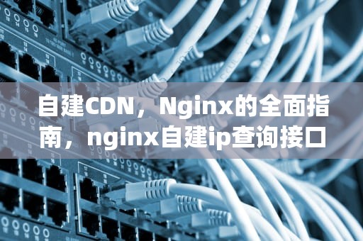 自建CDN，Nginx的全面指南，nginx自建ip查询接口