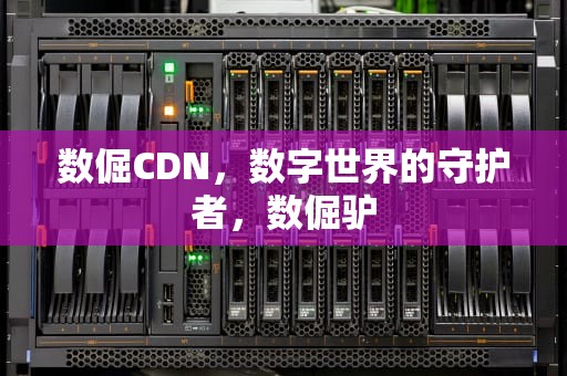 数倔CDN，数字世界的守护者，数倔驴