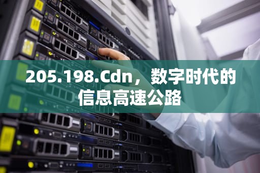 205.198.Cdn，数字时代的信息高速公路