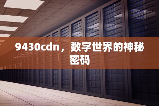 9430cdn，数字世界的神秘密码