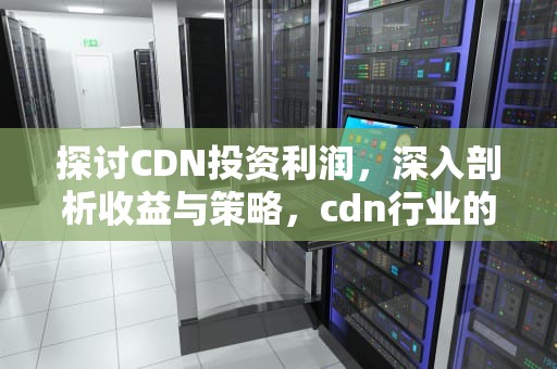 探讨CDN投资利润，深入剖析收益与策略，cdn行业的利润空间有多大