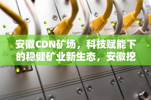 安徽CDN矿场，科技赋能下的稳健矿业新生态，安徽挖矿