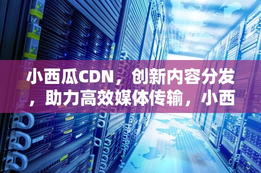 小西瓜CDN，创新内容分发，助力高效媒体传输，小西瓜叫什么名字
