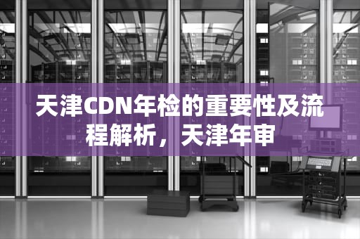 天津CDN年检的重要性及流程解析，天津年审