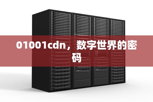 01001cdn，数字世界的密码