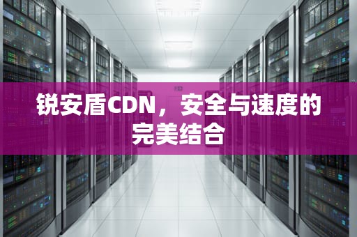 锐安盾CDN，安全与速度的完美结合