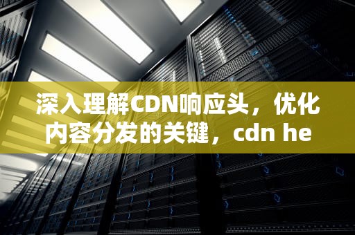 深入理解CDN响应头，优化内容分发的关键，cdn header