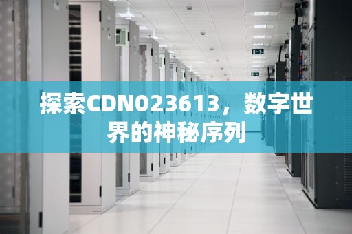 探索CDN023613，数字世界的神秘序列
