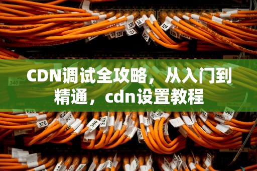CDN调试全攻略，从入门到精通，cdn设置教程