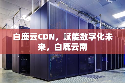 白鹿云CDN，赋能数字化未来，白鹿云南